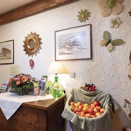 Hotel Silberdistel 3*