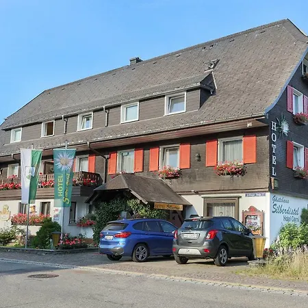 Silberdistel