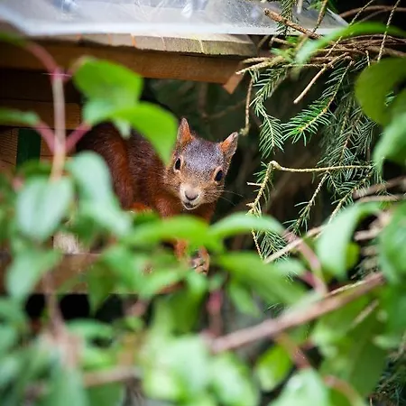 Silberdistel Hotel 3*