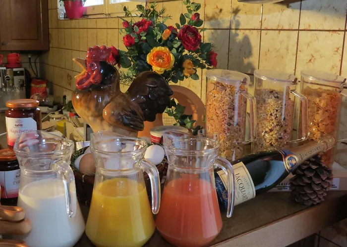 호텔 Silberdistel 힌터짤텐