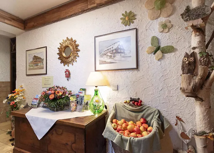 Otel Silberdistel 3*