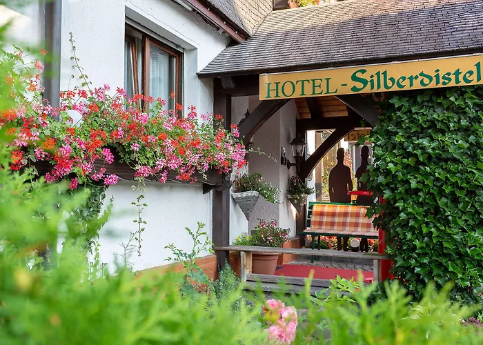 Otel Silberdistel Hinterzarten