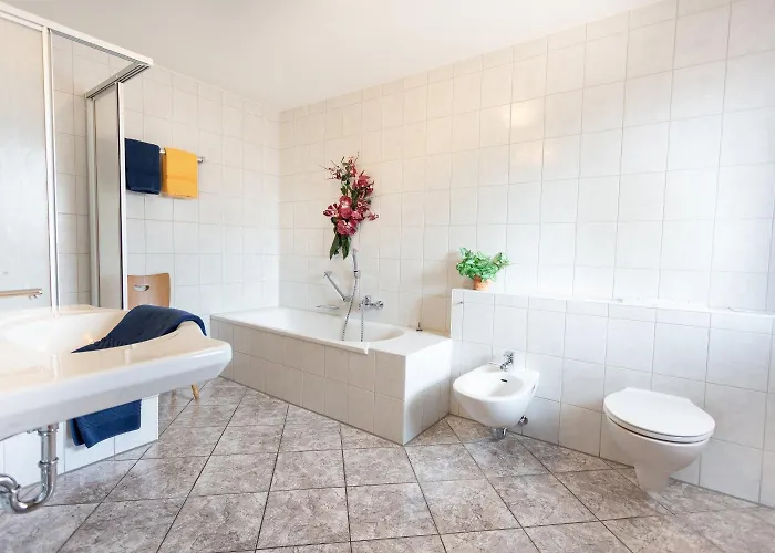 Silberdistel 힌터짤텐