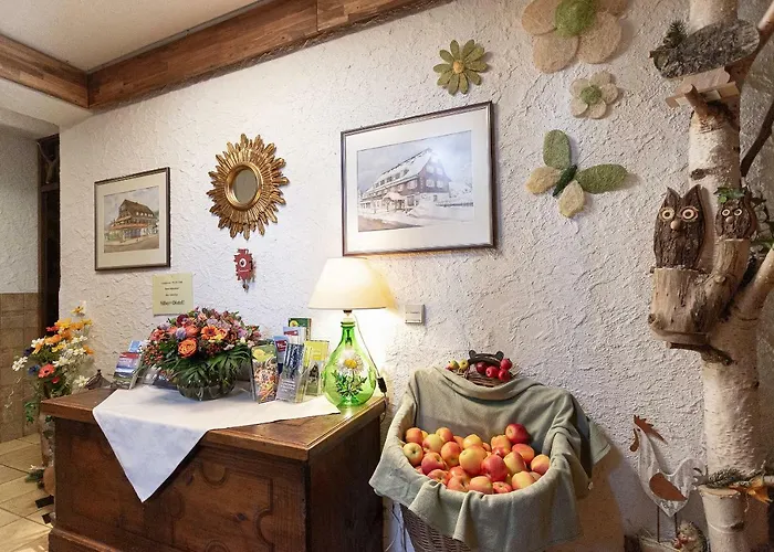 Otel Silberdistel Hinterzarten