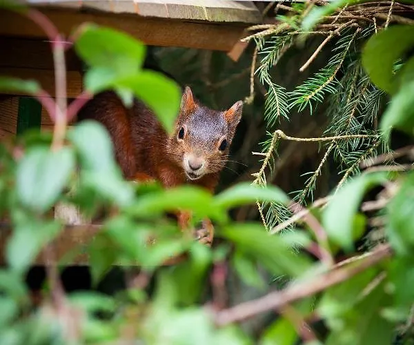 Silberdistel 호텔 3*